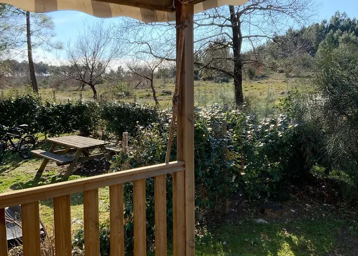 Mh 313 Les Dunes De Contis 3 Et 2salles De Bain